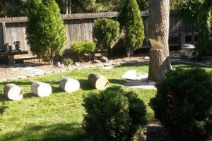 landscaping and tree projects